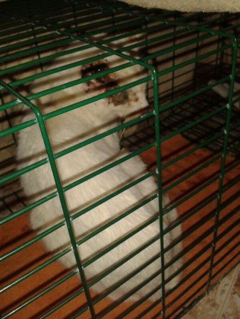 Neo fue imposible salvarte...